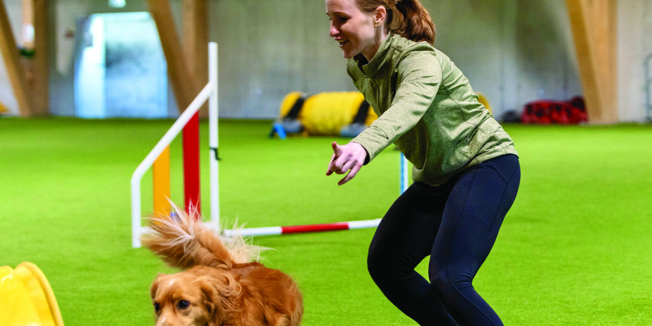 En forme à travers l’été