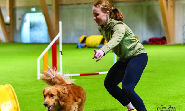 En forme à travers l’été